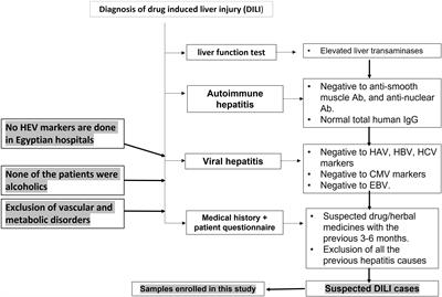 The Unmet Needs of Hepatitis E Virus Diagnosis in Suspected Drug-Induced Liver Injury in Limited Resource Setting